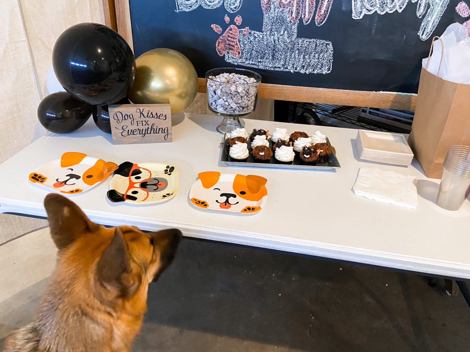 dog puppy themed birthday party one year old