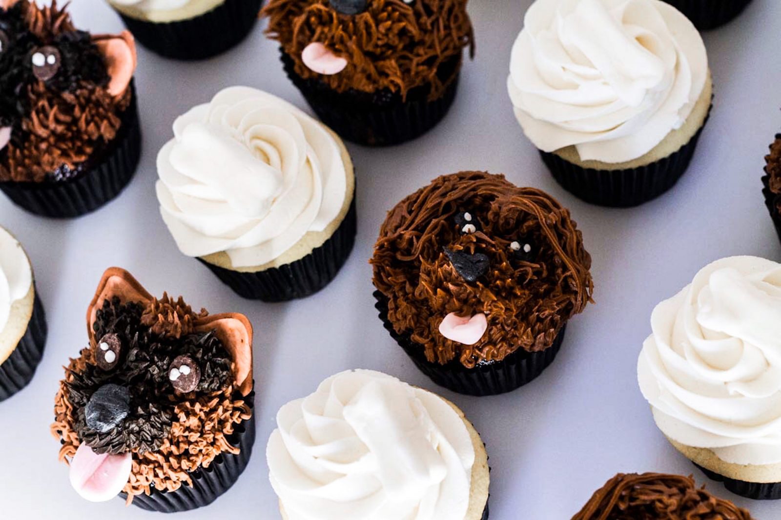 dog puppy themed birthday party cupcakes pupcakes